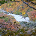 谷川岳の湯檜曽川の紅葉