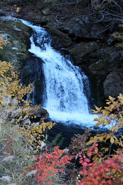 Photos: 照葉峡の紅葉の滝