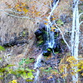 照葉峡　ひぐらしの滝の紅葉