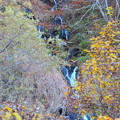 ひぐらしの滝の全体的な秋風景