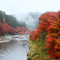 Photos: 巴橋からの香嵐渓の紅葉
