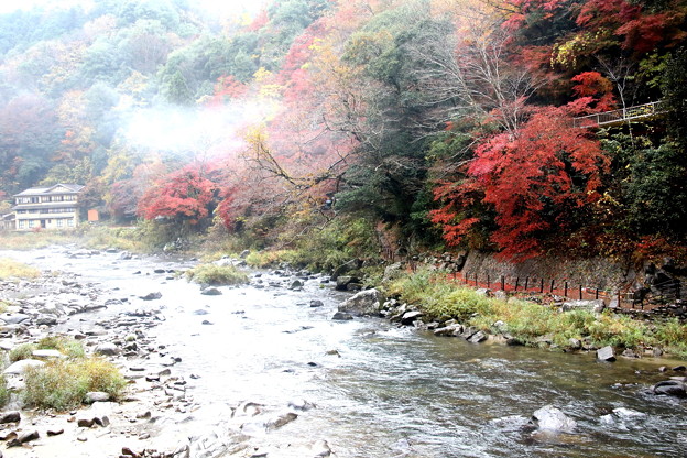 Photos: 霧舞う巴川の風景　香嵐渓の紅葉