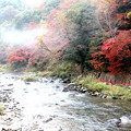 Photos: 霧舞う巴川の風景　香嵐渓の紅葉