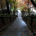 Photos: 香積寺の階段の紅葉