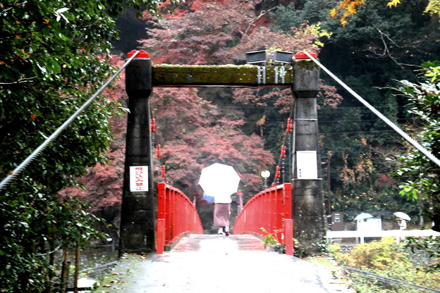 香嵐橋渡る紅葉風景