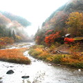 Photos: 川見茶屋の巴川の紅葉　雨の日