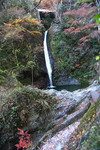 Photos: 山道と秩父華厳の滝の紅葉