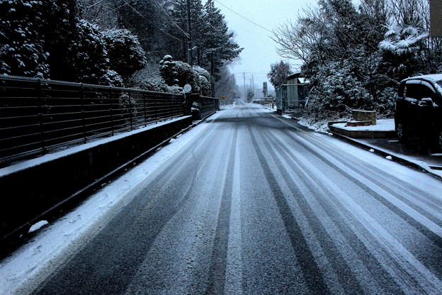 積雪の道路