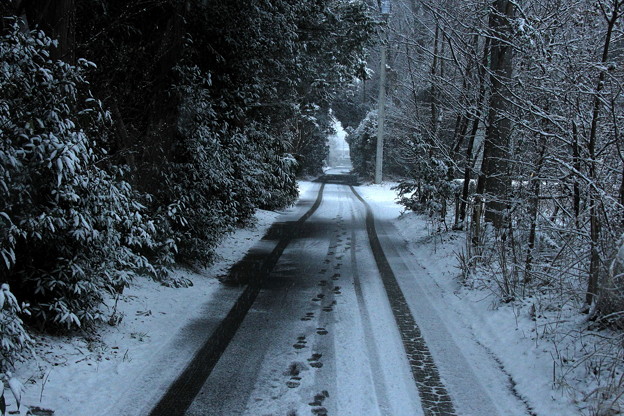 小道の初雪風景
