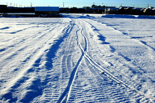 積雪の畑道