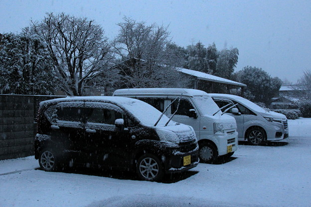 車への積雪