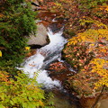 紅葉風景　照葉峡の渓流