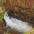 落葉と渓流　照葉峡A