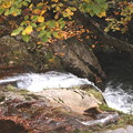 渓流　照葉峡の秋