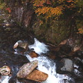 秋の照葉峡の渓流A
