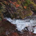 秋の照葉峡の渓流B
