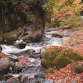 秋の渓流　照葉峡３