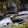 渓流の秋　照葉峡３