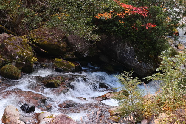 Photos: 紅葉の渓流　照葉峡