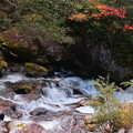 紅葉の渓流　照葉峡