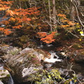 紅葉の照葉峡の風景