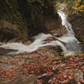 紅葉の渓流風景　照葉峡