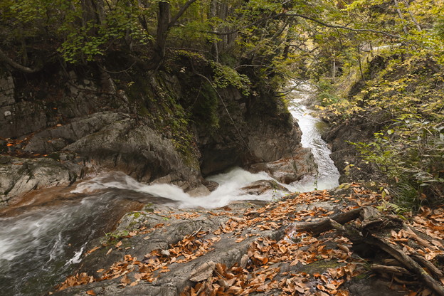 Photos: 秋の照葉峡の渓流