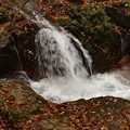 落葉のある岩魚の滝の流れ