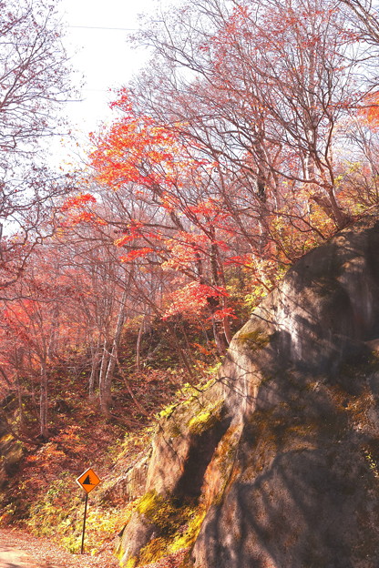 一ノ倉沢への山道の紅葉