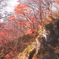 一ノ倉沢への山道の紅葉