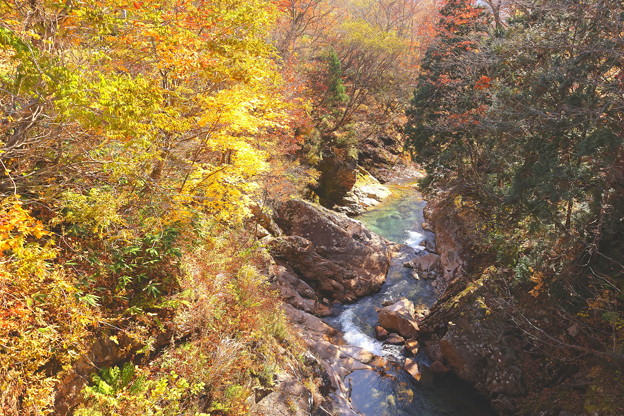 土合橋からの渓流紅葉