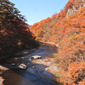 吹割の滝　川の紅葉