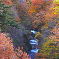 岩場の渓流の紅葉（吹割大橋）