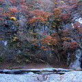 吹割の滝の岸壁との紅葉