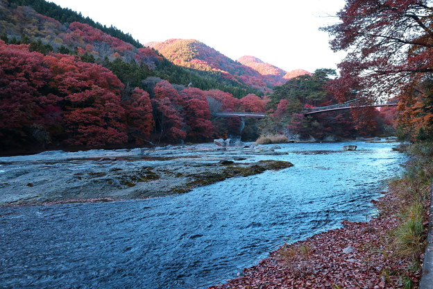 Photos: 秋の広い癒しの風景