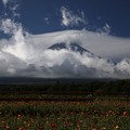 雲の乱舞の富士山