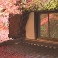 Photos: ある窓の紅葉風景