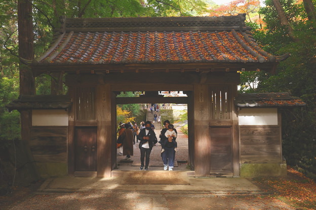 Photos: 香積寺の山門