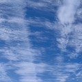 Photos: 澄み切った空に　雲模様２