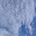 Photos: 澄み切った空に　雲模様３