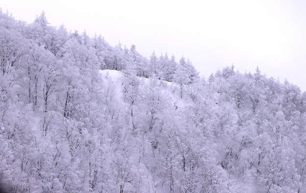 蔵王の雪景色２