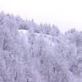Photos: 蔵王の雪景色２