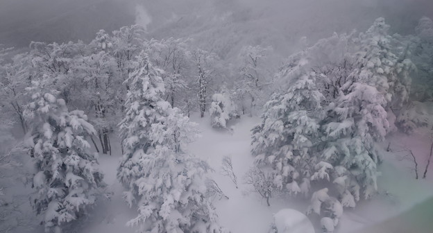 Photos: 蔵王の雪景色３