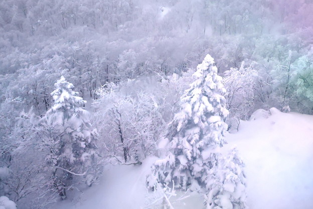 Photos: 蔵王の雪景色４