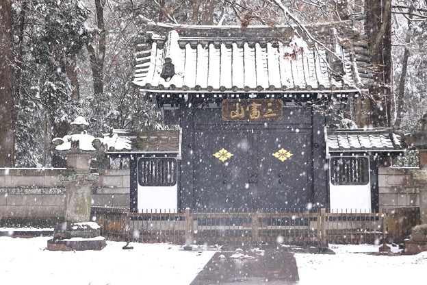初雪の多福寺の山門