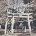 Photos: 敷名八幡神社