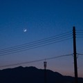 Photos: 月と電線