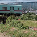 Photos: ヒガンバナ1 電車と