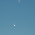 Photos: 月と飛行機