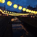 Photos: 夜景2 長崎ランタンフェスティバル